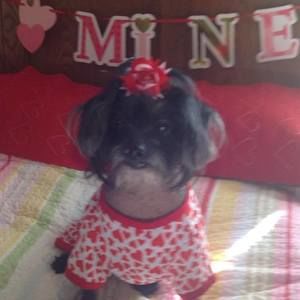 Meet your Posher, Diane